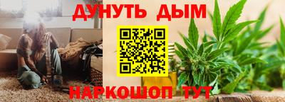 крисы Кимры
