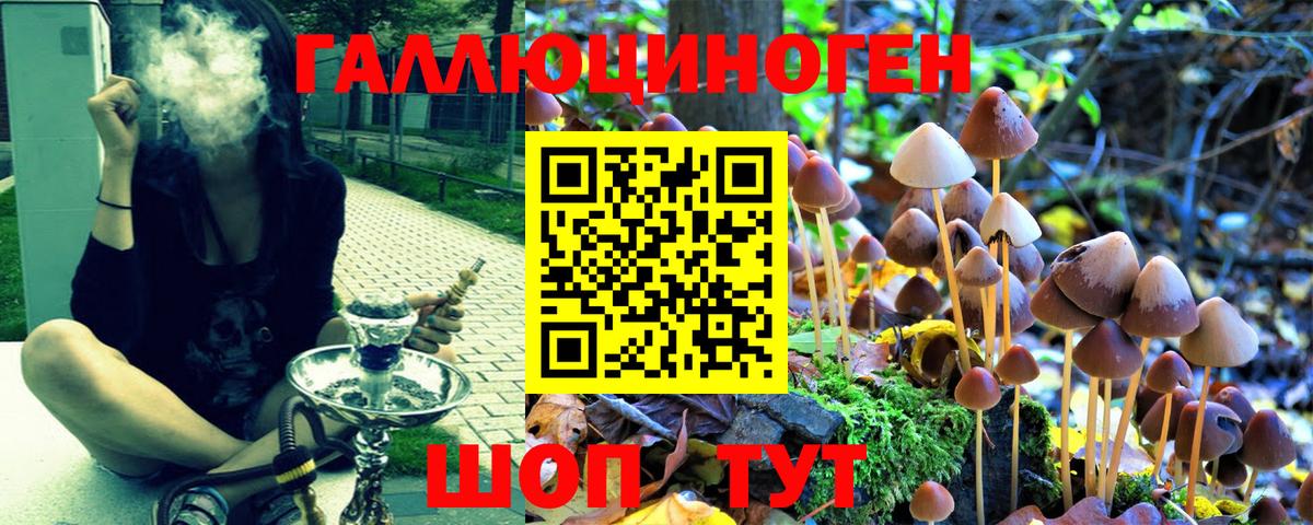 где можно купить наркотик  Галлюциногенные грибы мухоморы  Карачаевск  Вход с VPN  Галлюциногенные грибы Magic Shrooms 