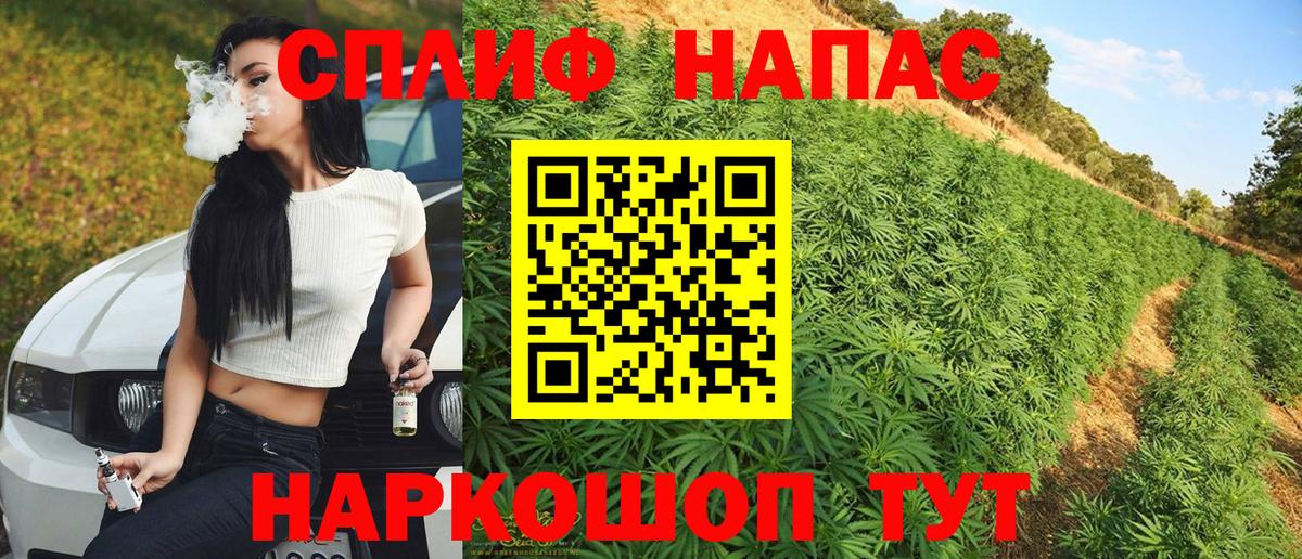 Бошки марихуана сатива  Бошки марихуана Bruce Banner  Вход с VPN  Бошки марихуана конопля  Карачаевск 